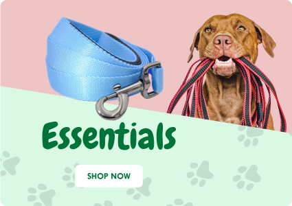  Health Supplies - Dogs: Pet Supplies: Recovery Collars & Cones,  Supplements & Vitamins, Dental Care & More