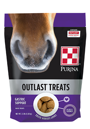 Horse Feed & Treats