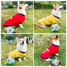 Sports Jersey & Accessories