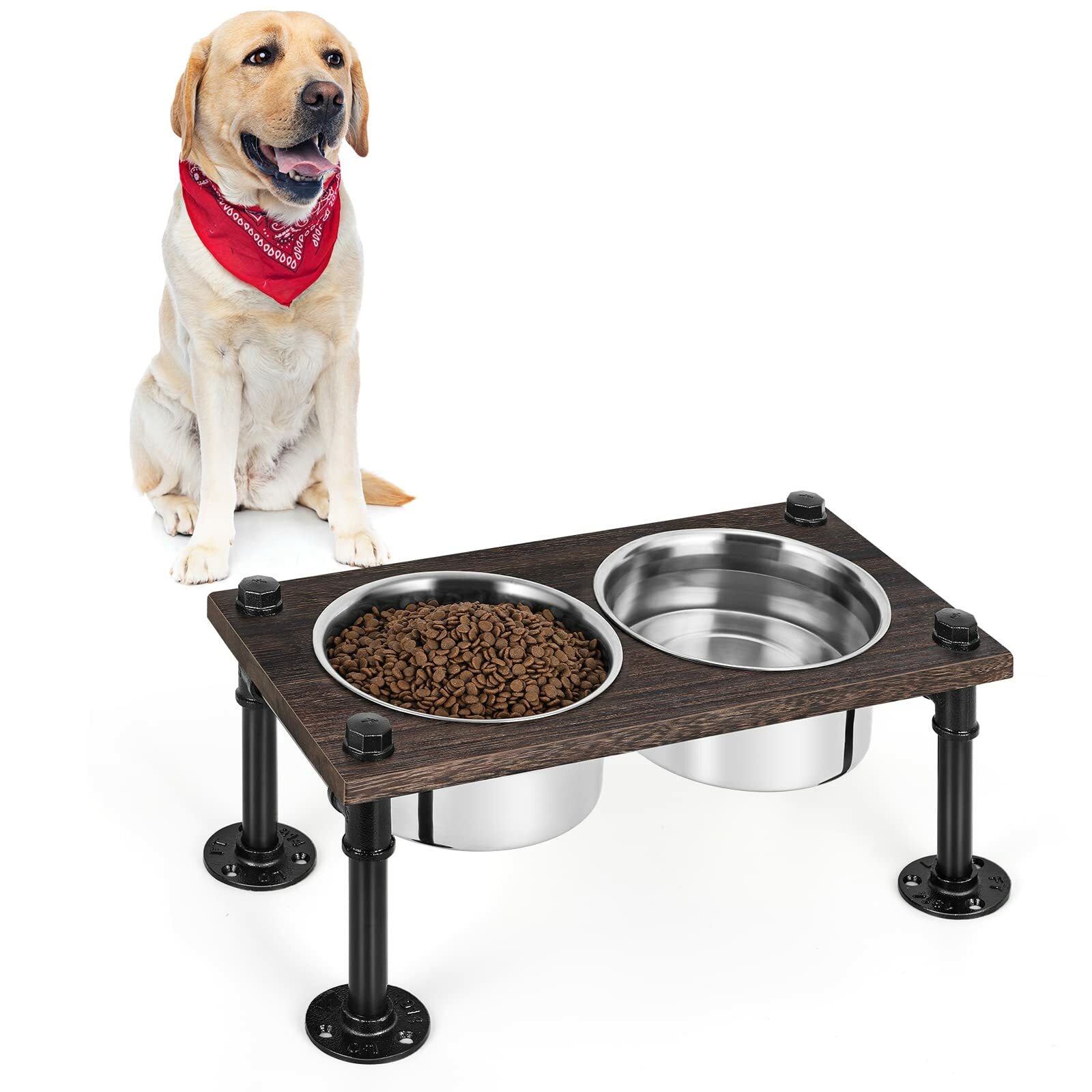 Elevated Dog Bowls