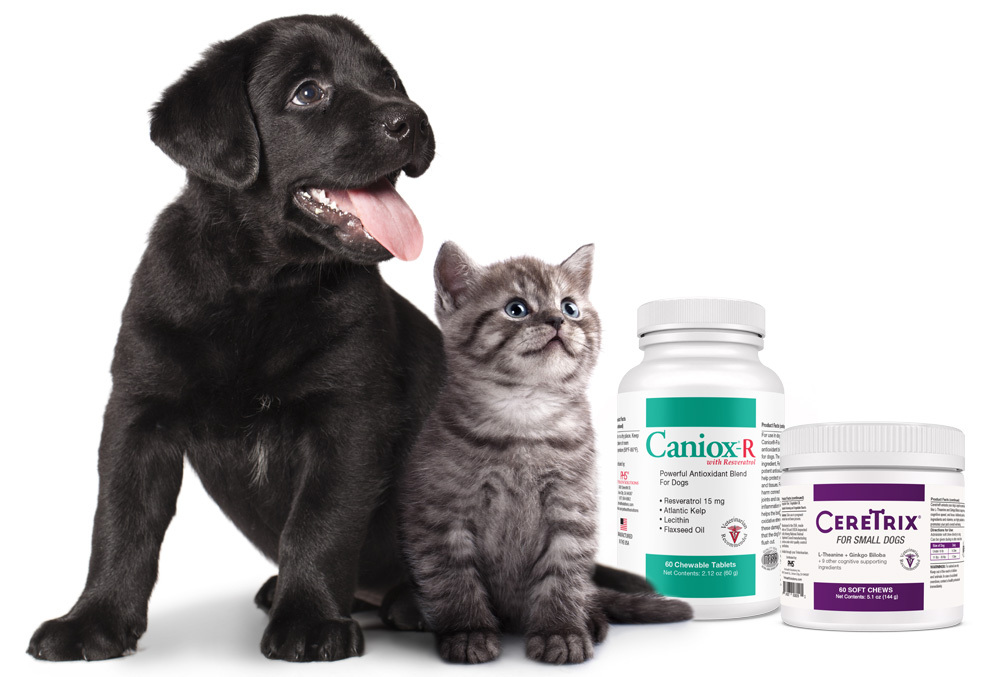 Antioxidants, Immune & Allergy