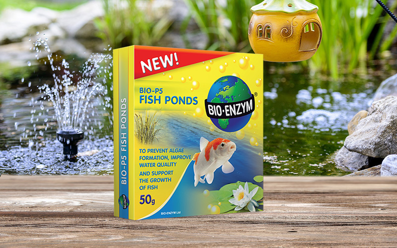 Algae & Water Clarity