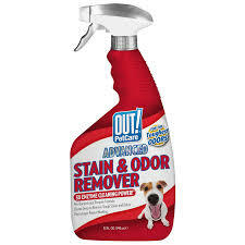 Stain & Odor Removers