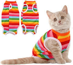 Clothing & Accessories