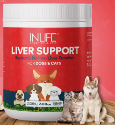 Liver Support Supplements