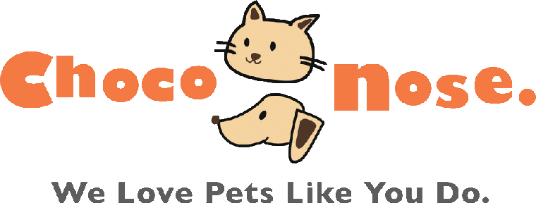 Trisen International Inc