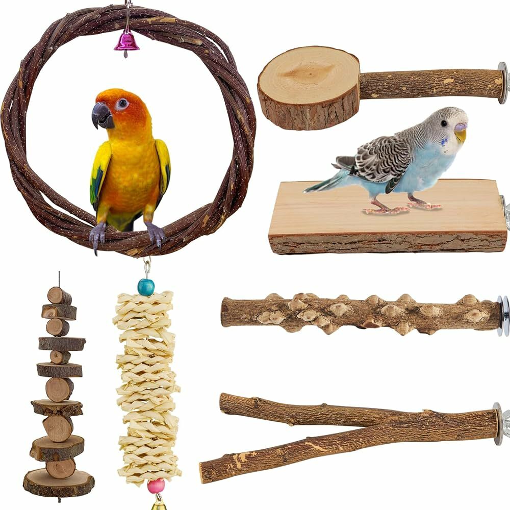 Perches & Toys