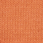 Panda Renew Max Yarn - Mandarin (8510)