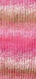 Panda Crypto 8 Ply Yarn - Rose Garden (2)