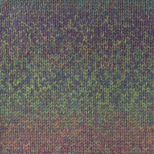 Heirloom Merino Magic Medley 8 Ply Wool - Birdsong (7084)