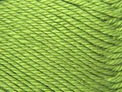 Panda Magnum Soft 8 Ply Yarn - Tree Frog (4420)