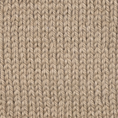 Panda Renew Max Yarn - Fawn (8509)