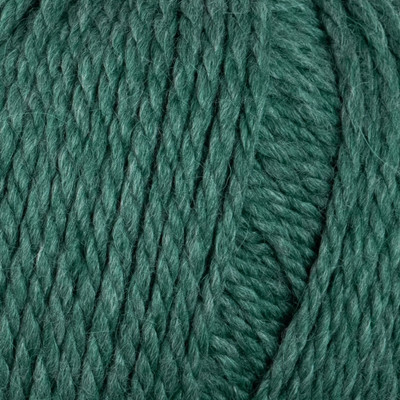 Patons Fairhaven Yarn - Balsam (9007)