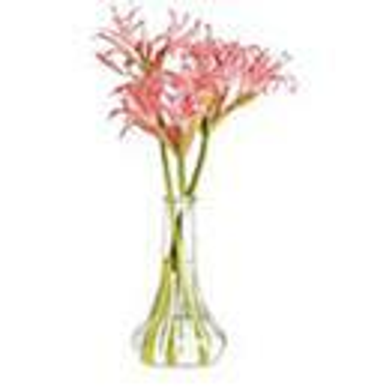 Bud Vases and Accent Vases