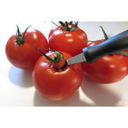Matfer Bourgeat 90417 4-7/8"L Stainless Steel Tomato Corer