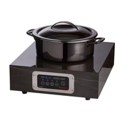 Spring USA JEWEL Box Induction Range Countertop