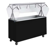 Vollrath 3895246 46" W x 39 1/2" D x 59" H Fully Enclosed Base Non-Refrigerated Wood 3 Pans 2-Series Affordable Portable Cold Food Station - 120 Volts