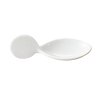 CACChina Appetizer and Tasting Spoon