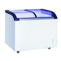 Glass Top Display Freezers