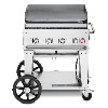 Outdoor Griddle