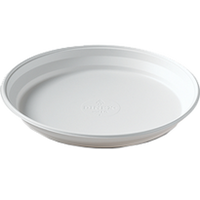 Dinex Plastic Disposable Plates