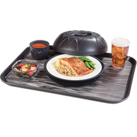 Dinex Hospital Food Trays