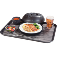 Dinex Hospital Food Trays