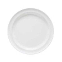 Reusable Plastic Plate