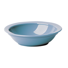 Cambro 60CW401
 6"
 11 oz
 PolyCarbonate
 Slate Blue
 Round
 Camwear Bowl