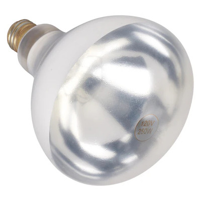 Winco EHL-BW Heat Lamp Bulb - 250 Watts