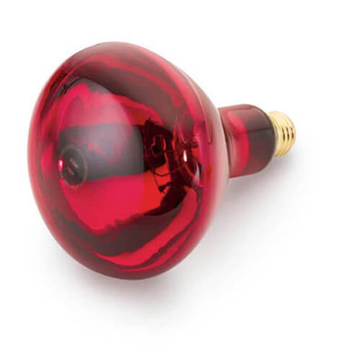 Cres Cor 0820 001 SP Shatterproof Infra Red Bulb - 250 Watts