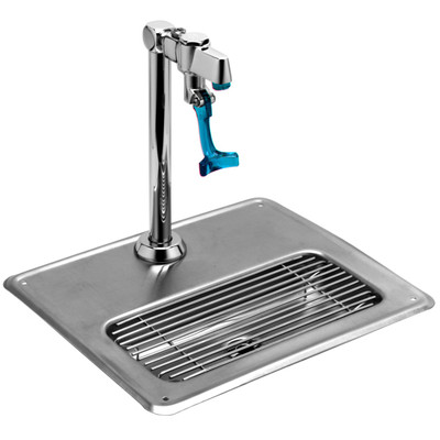 T&amp;S Brass 5GF-8P-WS 8" Equip Water Station