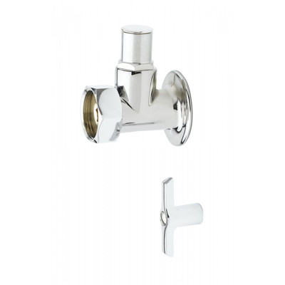 T&amp;S Brass 00JJ Flange with Integral Stop Assembly 2-1/2"