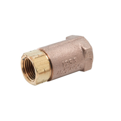 T&S Brass B-CVH1-2 Check Valve 1/2"