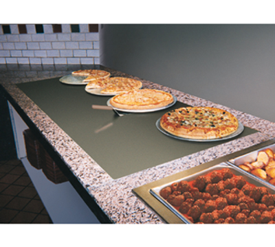 Hatco GRSBF-30-I 31.5" W x 21" D Aluminum Glo-Ray Built In Heated Shelf with Flush Top - 120 Volts