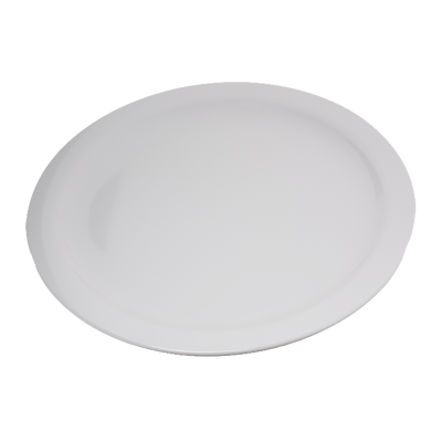 Carlisle 4350002 10 1/5" Dia. Plastic White Dallas Ware Dinner Plate