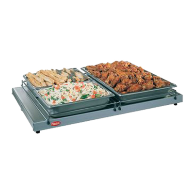Hatco GRS-48-I 48" W Stainless Steel Glo-Ray Heated Shelf - 700 Watts