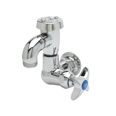 T&S Brass B-2301 Sill Faucet wall mount single hole Eterna cartridge 4-arm handle with blue color coded index