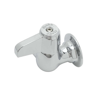 T&amp;S Brass 5F-1WLX00 Faucet wall mount
