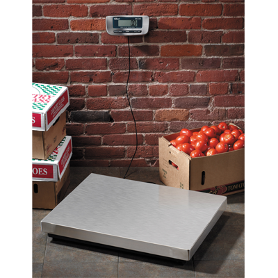 Edlund ERS-300 300 Lbs. x .1 Lbs. Stainless Steel Countertop Digital Receiving Scale