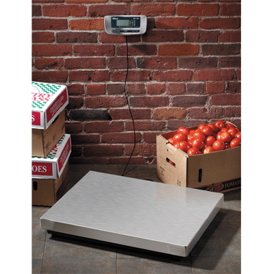 Edlund ERS-300 300 Lbs. x .1 Lbs. Stainless Steel Countertop Digital Receiving Scale