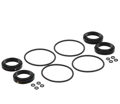 AllPoints 32-1995 2 Platen Seal Kit with Seals Orings and Garland