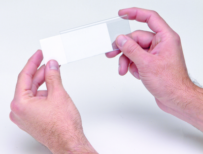 Quantum LTR-1754 Clear Label Holders