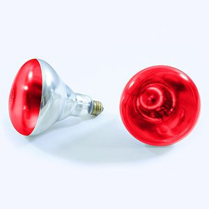 Thunder Group SEJ92001R Red Uncoated Heat Lamp Bulb - 250 Watts