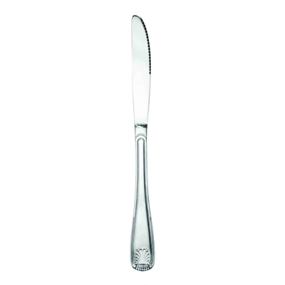 Thunder Group SLSS009 8.9" L Stainless Steel Solid Handle Dinner Knife