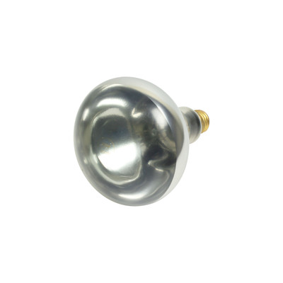 Thunder Group SEJ92001C Clear Uncoated Heat Lamp Bulb - 250 Watts