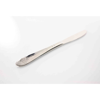 Thunder Group SLEL209 8.8" L Stainless Steel Solid Handle Dinner Knife