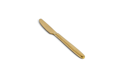 FOH FDK008GOS23 9.25" D Stainless Steel Luca Dinner Knife