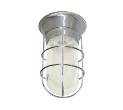 Component Hardware L55-1024-HT Tempered Glass Globe Tuff-Skin with Wire Guard Canopy Lighting Fixture