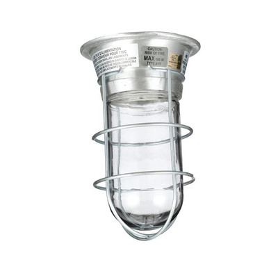 Component Hardware L55-2024-HT Tempered Glass Globe Canopy Lighting Fixture with Wire Guard